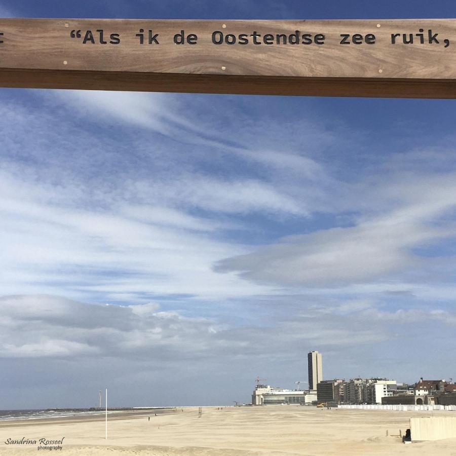 Knappe Studio Met Subliem Zeezicht! Oostende Eksteriør bilde